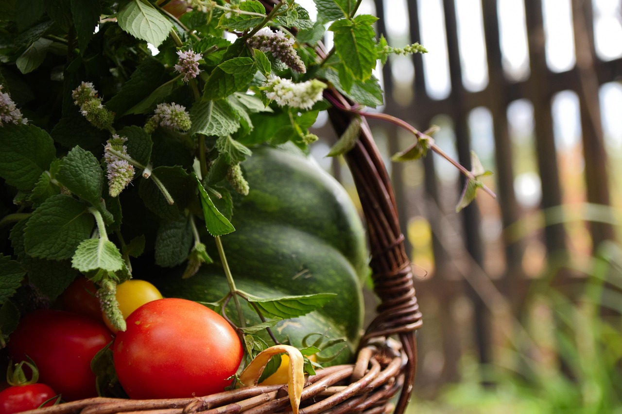 basket, nature, vegetables, scuttle, tomato, pumpkin, mint, village, fresh, summer, food