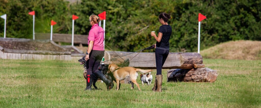 dog walking, women and dogs, rural dog walking, stalking, dog walk, women dog walking, women, animal, exercise, dog, people, pet, woman, leisure, lifestyles, female, morning, walk, green exercise, green walking, green morning